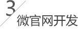 微官網(wǎng)開發(fā)